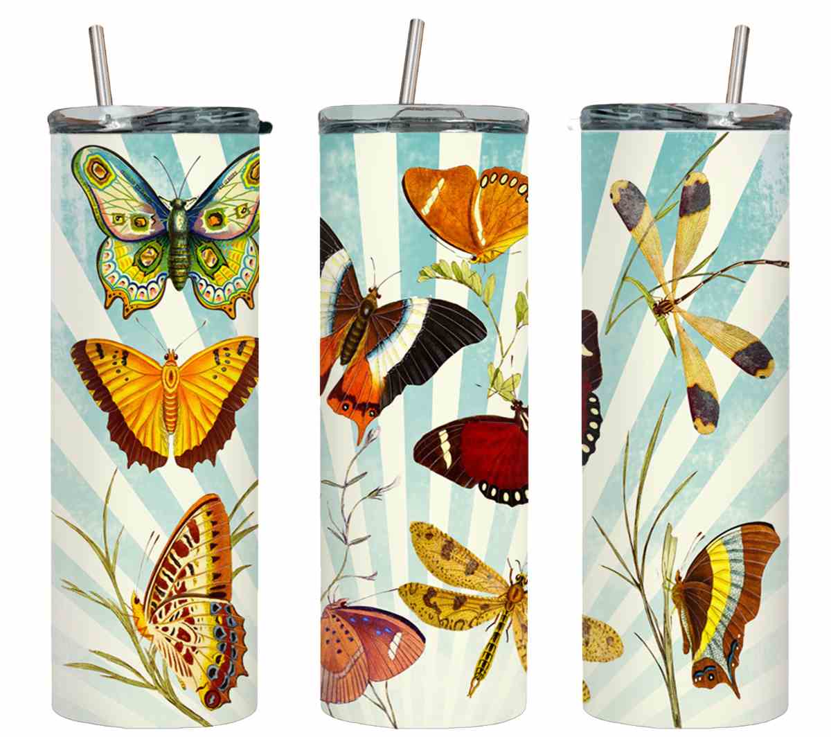 Butterflies-8325